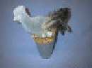 Hahn A.Eimer 15X23Cm  