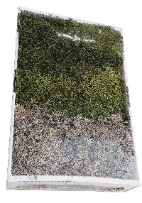 Dschungelmoos natur - apfelgrün - moosgrün Mix SPP-1kg
