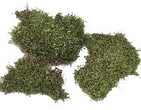 Plattenmoos GRÜN (natur) 2kg Sparp.