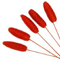 Luffa mit Stiel ORANGE 10 100 St.