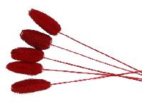 Luffa mit Stiel ROT 11 100 St.