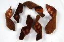 Leiterschote (Machete) NATUR 15-20 cm 100St. geringelt (Velvet Bean)