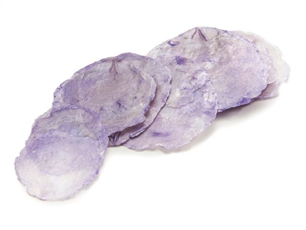 Perlmuttscheibe LILA SC9855-16 ca. 5-10cm  500g