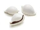 Muschel Shell Ovula Ovum WEISS 6cm 10 Stück