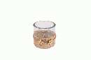 Windlichtglas Jute 38GJU01 Ø8xH8cm mit Sternen