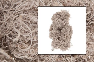 Curly Moos white washed 500g  Bastelmoos  Dekomoos